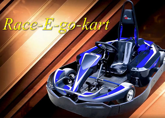 پارک سرگرمی Mini Racing Go Karts 4KW Eco Friendly